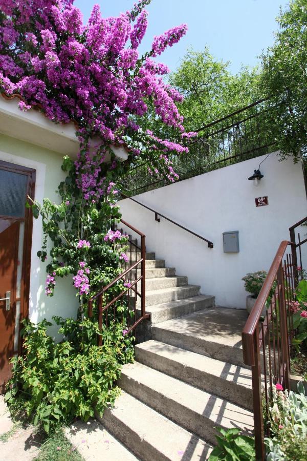 Bozena Studio Kneb Portorose Esterno foto